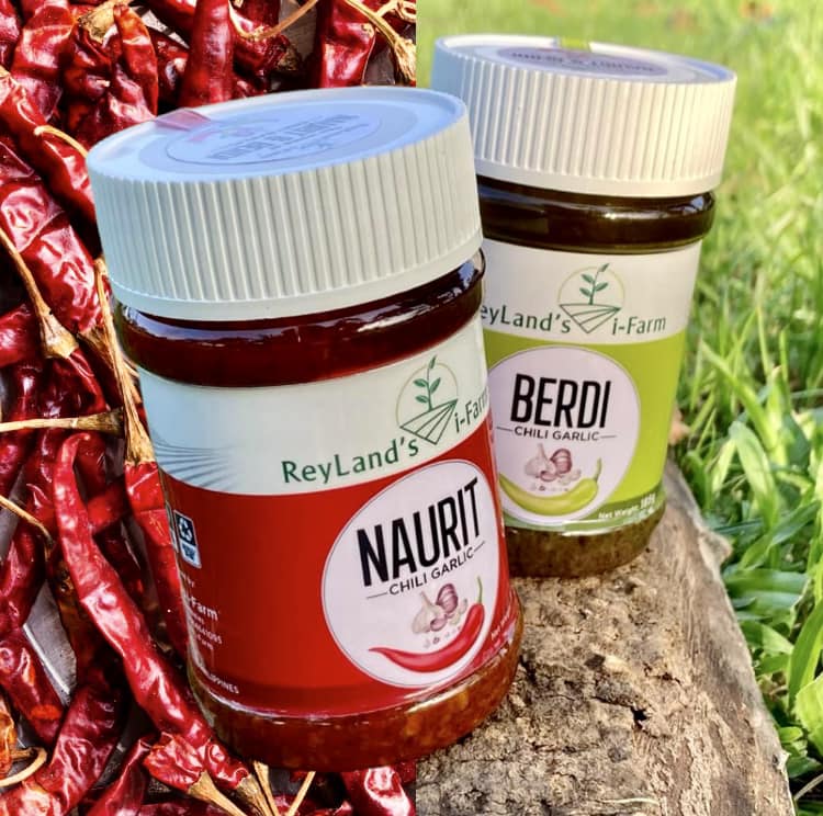 Naurit and Berdi Chili Garlic Oil Zambales